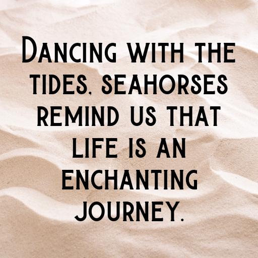 Seahorse Captions Image For Instagram In [2025]-urxIya