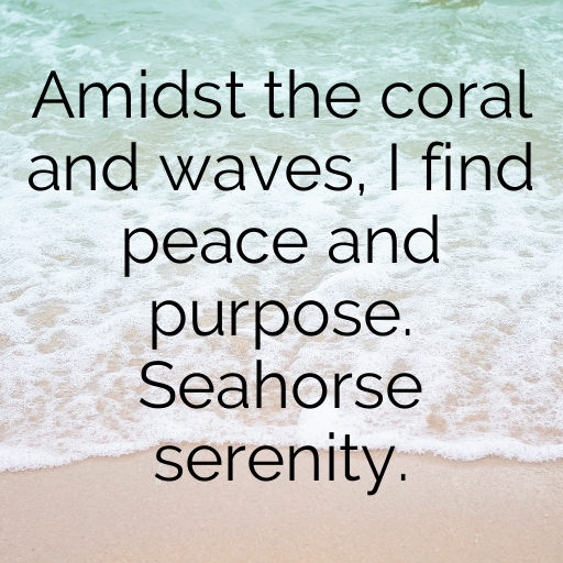 Seahorse Captions Photo For Instagram In [2025]-0omzum