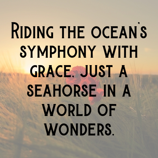 Seahorse Captions Photo For Instagram In [2025]-XZXVt6