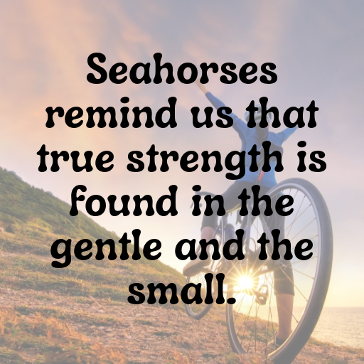 Seahorse Captions Photo For Instagram In [2025]-yidvls