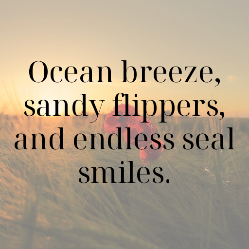 Seal Captions Image For Instagram In (2025)-5SAOKu