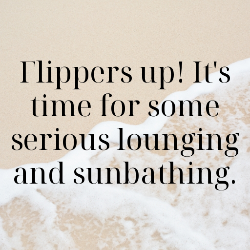 Seal Captions Photo For Instagram In (2025)-OJpeQ2