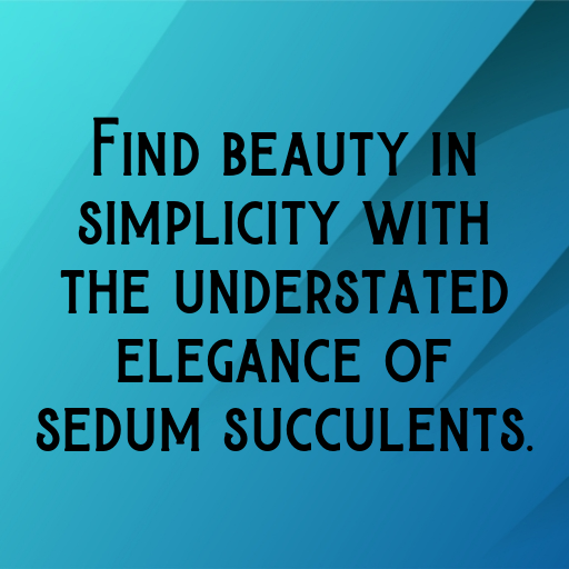 Sedum Captions Image For Instagram In 2025-aorASY