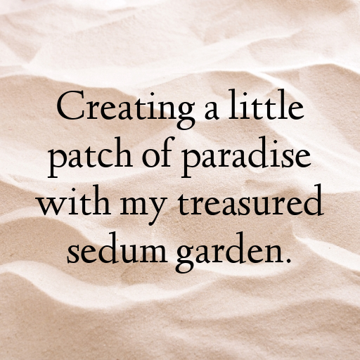 Sedum Captions Photo For Instagram In 2025-hYOBep