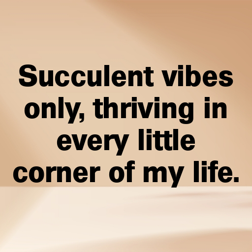 Sedum Captions Photo For Instagram In 2025-TqAqwK