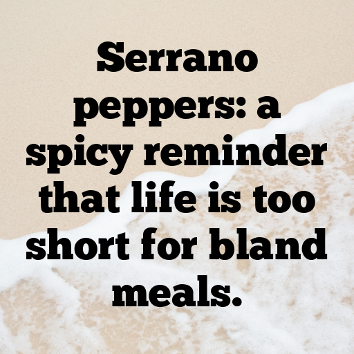 Serrano Pepper Captions Photo For Instagram In (2025)-Xby1S2