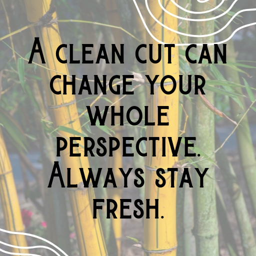 Shape Up Captions Photo for Instagram In [2025]-HY9pQK