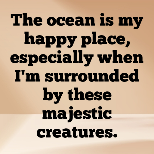 Shark Captions Image For Instagram In [2025]-4J1qWr