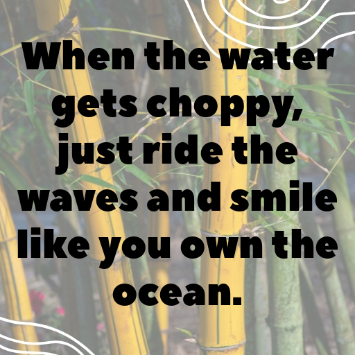 Shark Captions Photo For Instagram In [2025]-3zL2oX