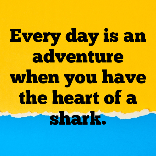 Shark Captions Photo For Instagram In [2025]-8IOv6J