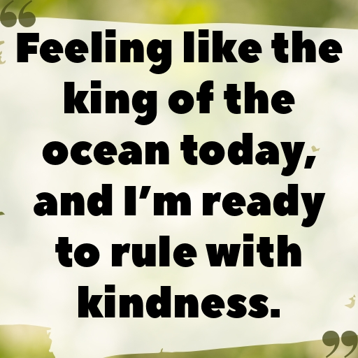 Shark Captions Photo For Instagram In [2025]-V5WoeR