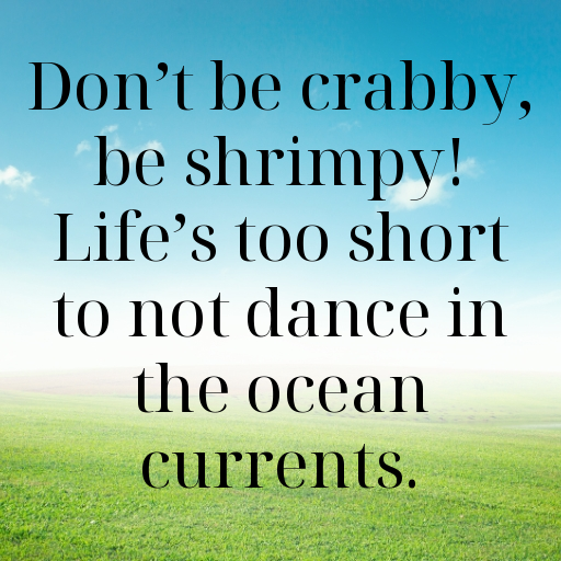 Shrimp Captions Photo For Instagram In 2025-WNTQYv