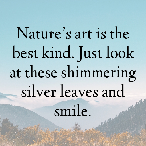 Silverberry Captions Image For Instagram In 2025-e22nPU