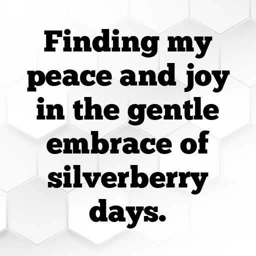 Silverberry Captions Image For Instagram In 2025-zOQzYy