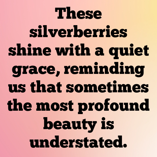 Silverberry Captions Photo For Instagram In 2025-kS8VFt