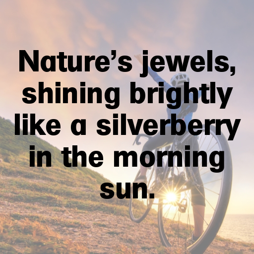 Silverberry Captions Photo For Instagram In 2025-L3P4X6