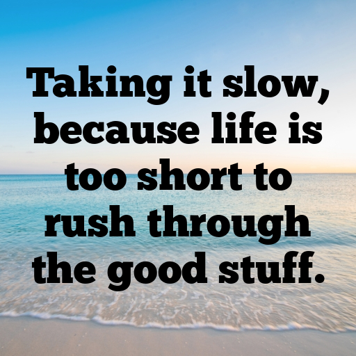 Sloth Captions Photo For Instagram In (2025)-NqGQAa