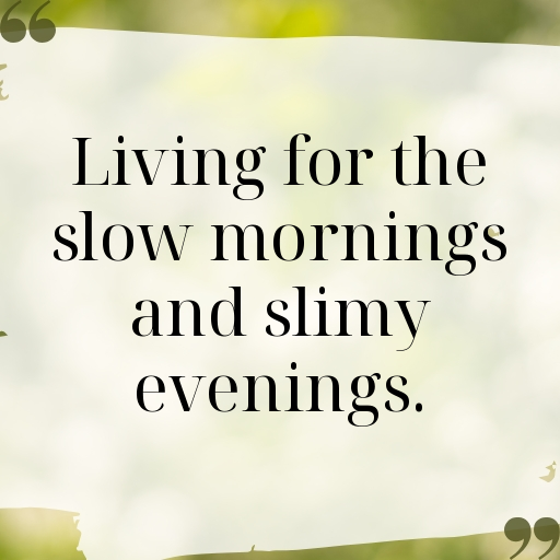 153+ Slug Captions For Instagram In (2025) 4 Slug Captions Image For Instagram In (2025)-0Bj1Ou