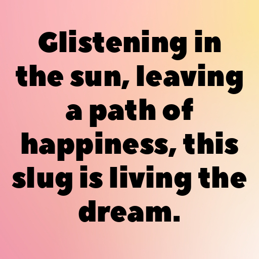 153+ Slug Captions For Instagram In (2025) 9 Slug Captions Photo For Instagram In (2025)-B2iV9v