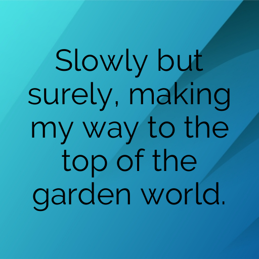 153+ Slug Captions For Instagram In (2025) 7 Slug Captions Photo For Instagram In (2025)-eYVnce