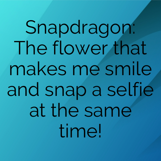 177+ Snapdragon Captions For Instagram In 2025 4 Snapdragon Captions Image For Instagram In 2025-vNDUXO
