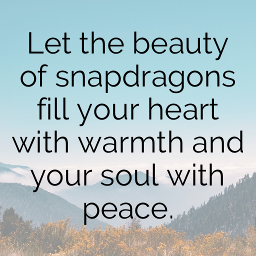 177+ Snapdragon Captions For Instagram In 2025 6 Snapdragon Captions Image For Instagram In 2025-xgzZ2y