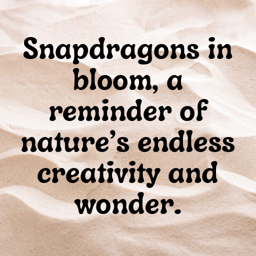 177+ Snapdragon Captions For Instagram In 2025 10 Snapdragon Captions Photo For Instagram In 2025-hMHz6E