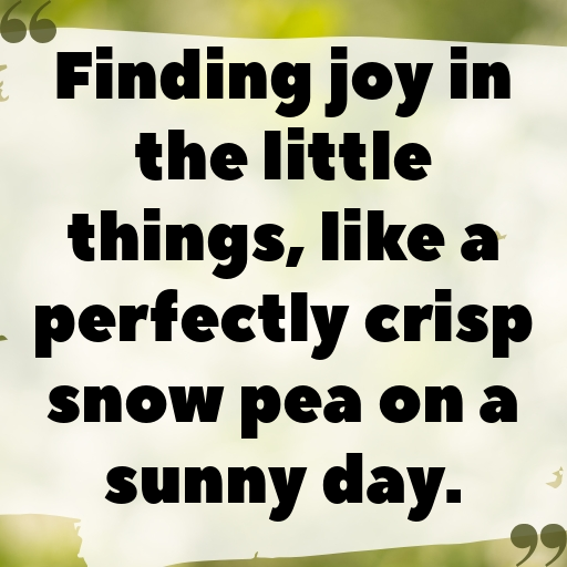 177+ Snow Pea Captions For Instagram In (2025) 8 Snow Pea Captions Image For Instagram In (2025)-iYDO2n