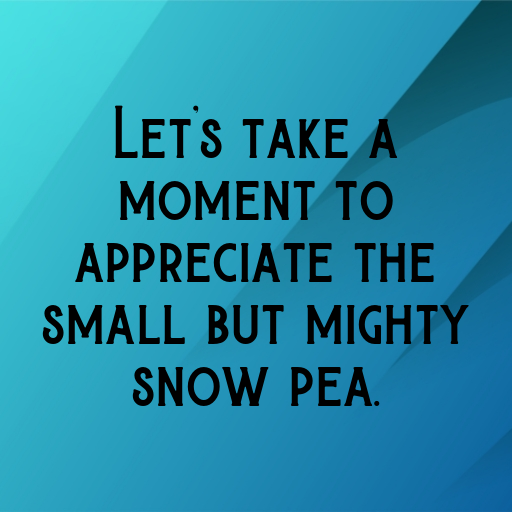 177+ Snow Pea Captions For Instagram In (2025) 9 Snow Pea Captions Image For Instagram In (2025)-SNuhO8