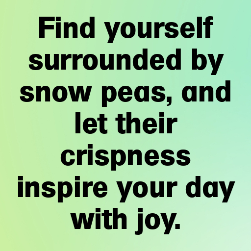 177+ Snow Pea Captions For Instagram In (2025) 7 Snow Pea Captions Image For Instagram In (2025)-xqndtr