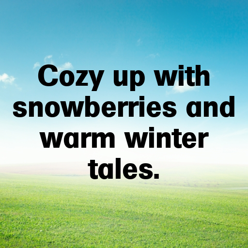 Snowberry Captions Photo For Instagram In [2025]-dmYLsF