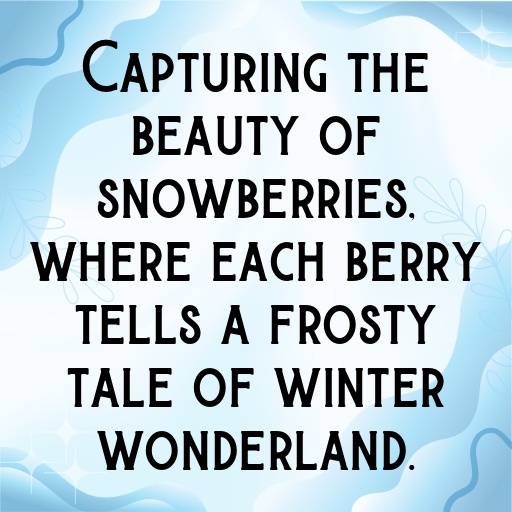 Snowberry Captions Photo For Instagram In [2025]-qCWA1f