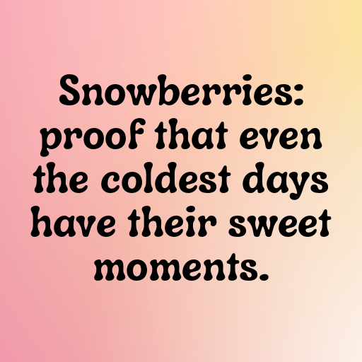 Snowberry Captions Photo For Instagram In [2025]-QjTB1A