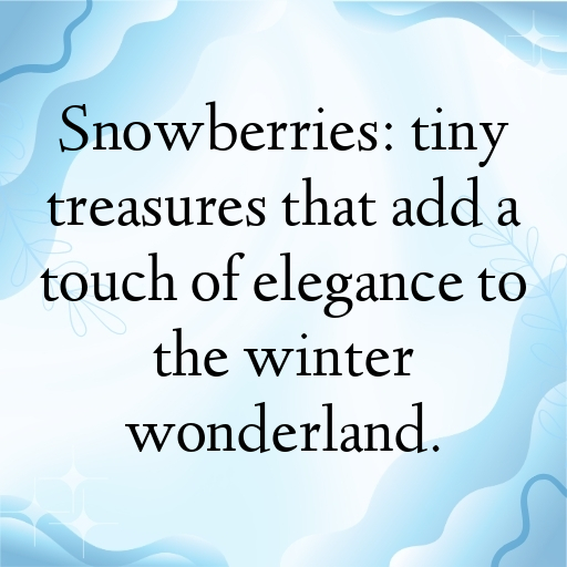 Snowberry Captions Photo For Instagram In [2025]-Zl0qoP