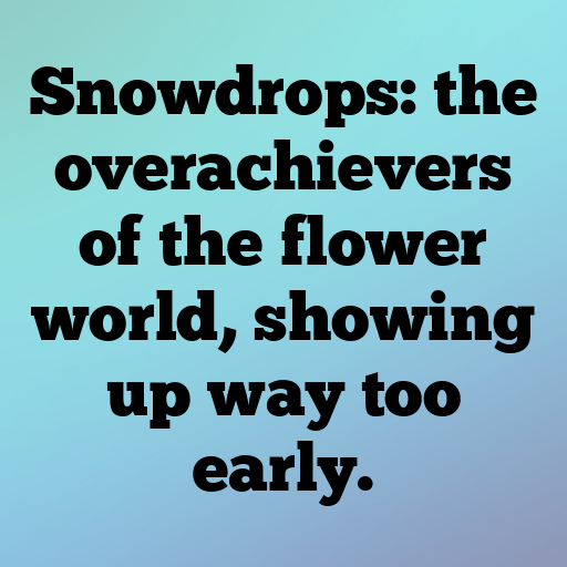 Snowdrop Captions Image For Instagram In [2025]-Jg3HZu