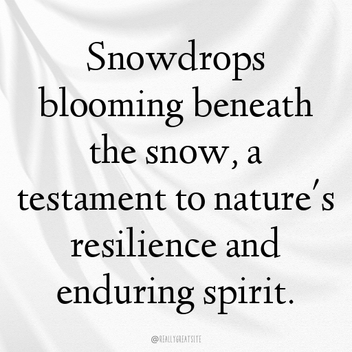 Snowdrop Captions Image For Instagram In [2025]-n6n7zO