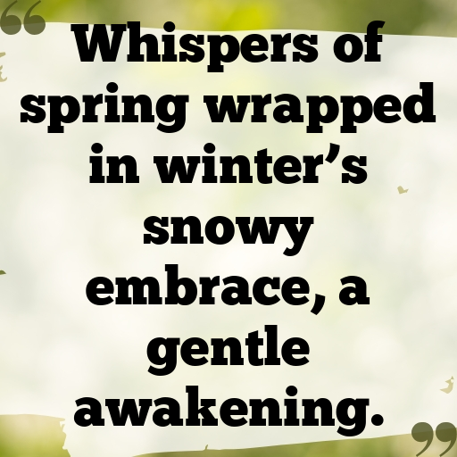 Snowdrop Captions Image For Instagram In [2025]-NE1eDA