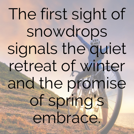 Snowdrop Captions Image For Instagram In [2025]-XswYiT