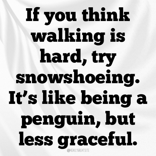 Snowshoeing Captions Photo for Instagram In (2025)-KwysPr