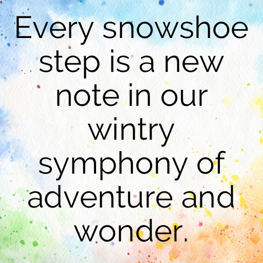 Snowshoeing Captions Photo for Instagram In (2025)-raasLK