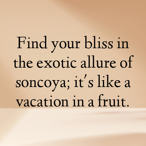 Soncoya Captions Image For Instagram In [2025]-2x89qx