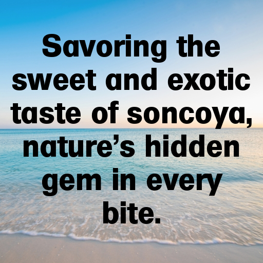 Soncoya Captions Image For Instagram In [2025]-3ktnjU