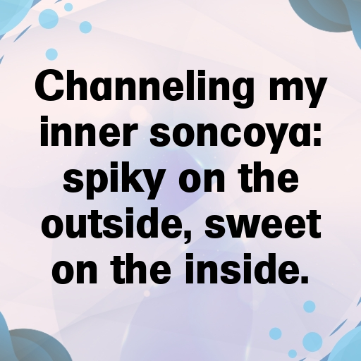 Soncoya Captions Image For Instagram In [2025]-m721yO