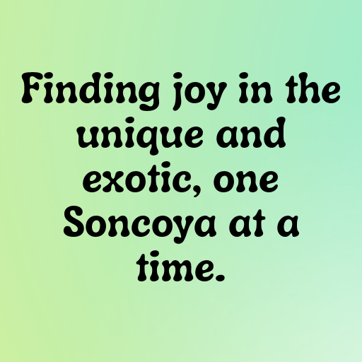 Soncoya Captions Image For Instagram In [2025]-nn7Sui