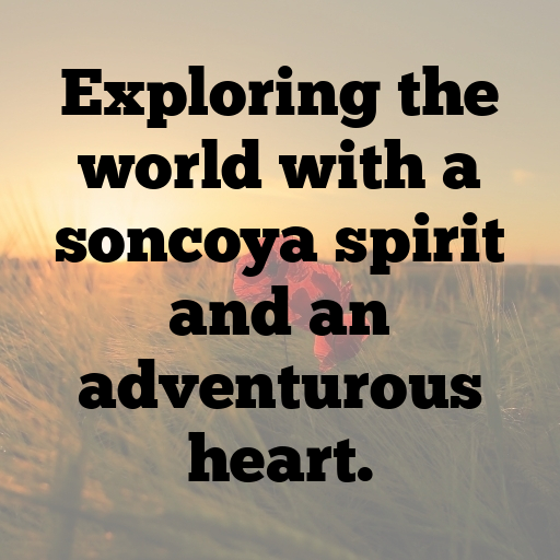 Soncoya Captions Photo For Instagram In [2025]-1lUWJ8