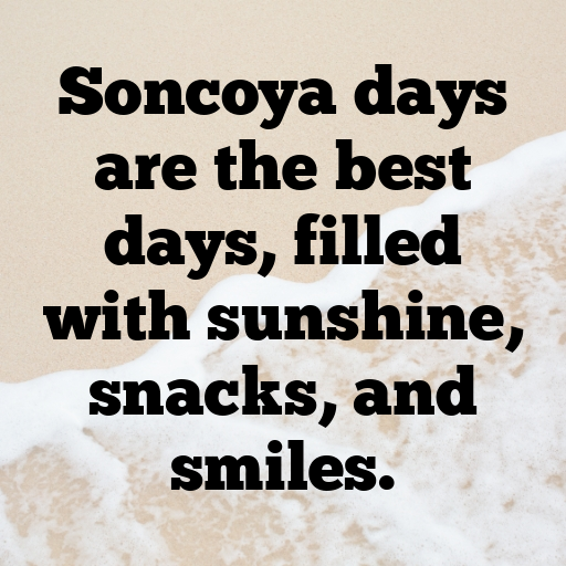 Soncoya Captions Photo For Instagram In [2025]-SEE3qB