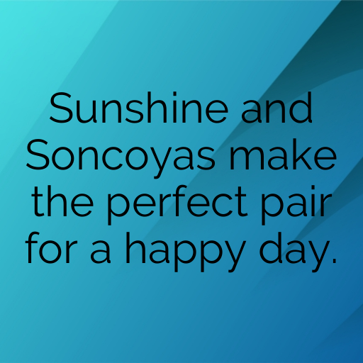 Soncoya Captions Photo For Instagram In [2025]-y3RZlb