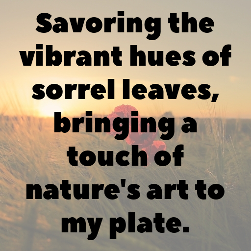 182+ Sorrel Captions For Instagram In (2025) 8 Sorrel Captions Image For Instagram In (2025)-HIbflF