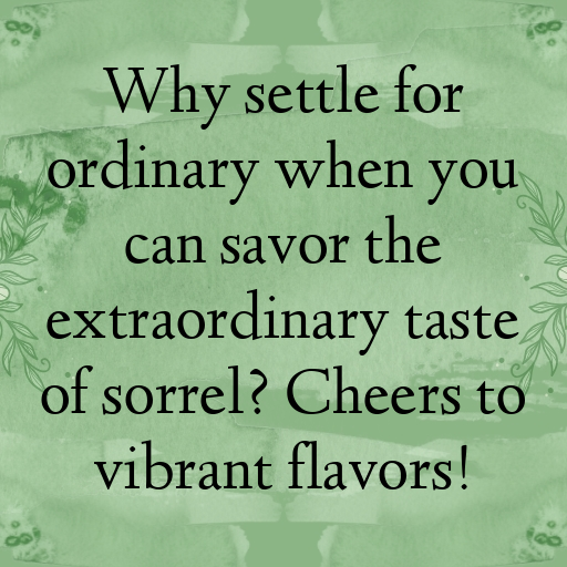 182+ Sorrel Captions For Instagram In (2025) 10 Sorrel Captions Image For Instagram In (2025)-MHPhqx