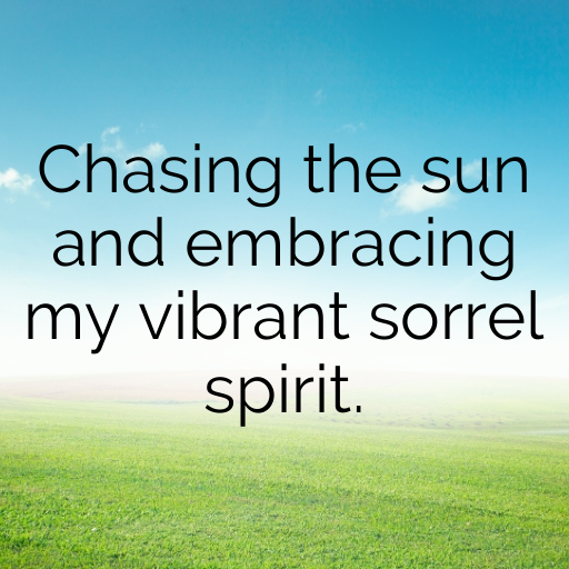 182+ Sorrel Captions For Instagram In (2025) 5 Sorrel Captions Image For Instagram In (2025)-UUt56j